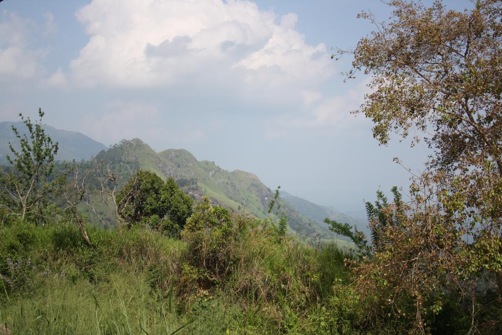 Village View Homestay Ella Exterior photo